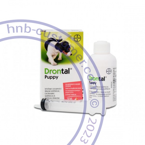 Drontal Puppy photo